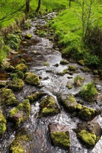 692717_web_R_K_B_by_Rainer Sturm_pixelio.de