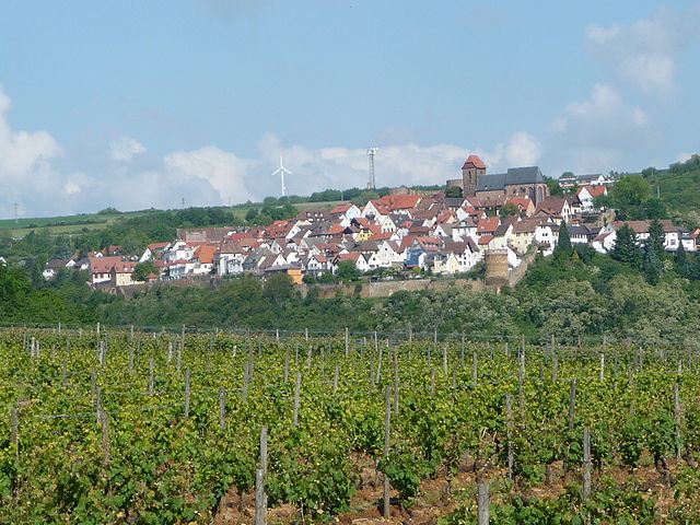 Ortsansicht von Neuleiningen.