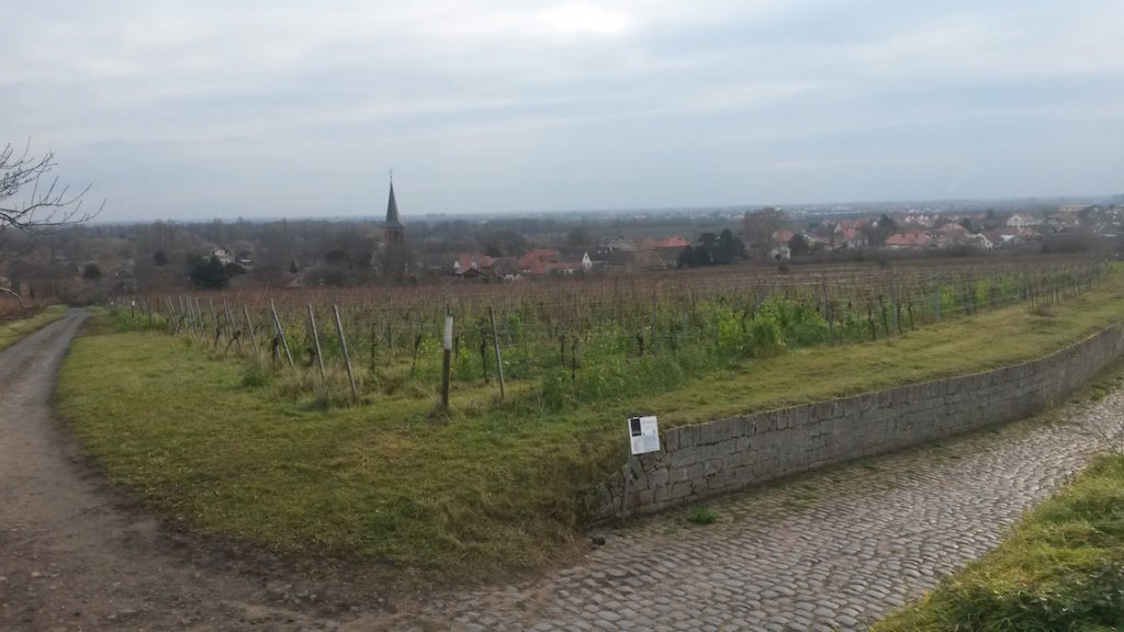 Toplage: das Forster Kirchenstück.